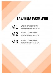 Зимняя попона WINTER черная