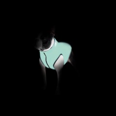 Жилетка AiryVest Lumi